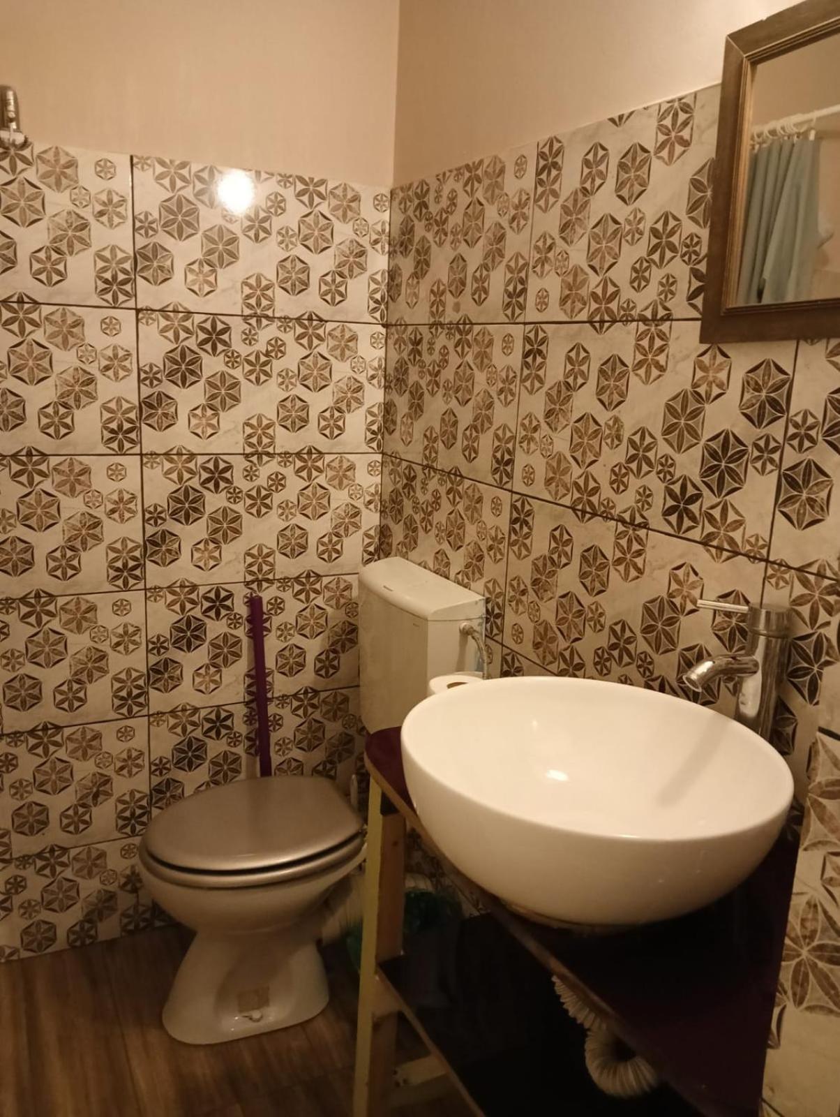 Zen Vandrerhjem Cluj-Napoca Eksteriør bilde